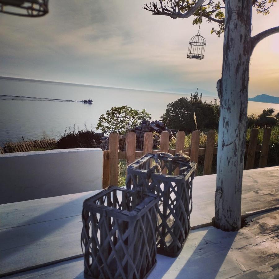 Villa Olga Studios Nea Skioni Exterior photo